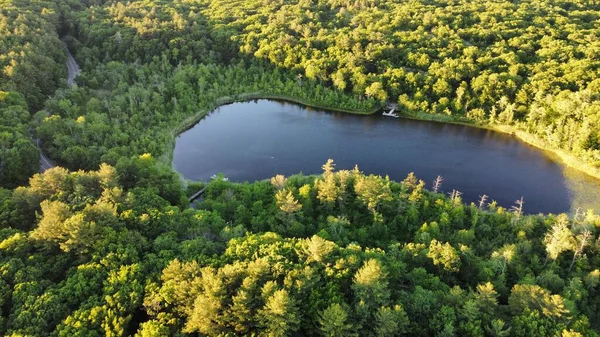 Eine Malerische Luftaufnahme Eines Sees Inmitten Von Wäldern — Stockfoto