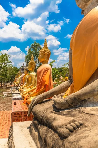 Tiro Vertical Parque Com Estátuas Buda — Fotografia de Stock