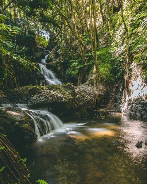 Una Splendida Vista Fiume Con Ruscelli Alberi Verdi Una Giornata — Foto Stock