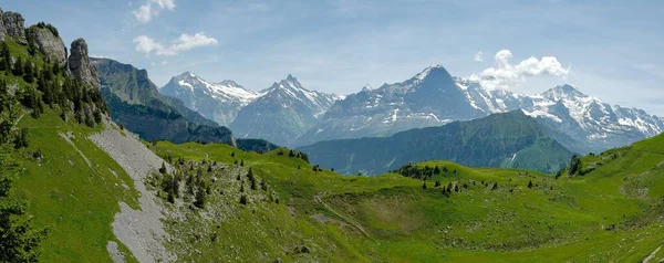 Gyönyörű Panoráma Kilátás Nyílik Zöld Táj Hegyek Háttérben Svájcban — Stock Fotó