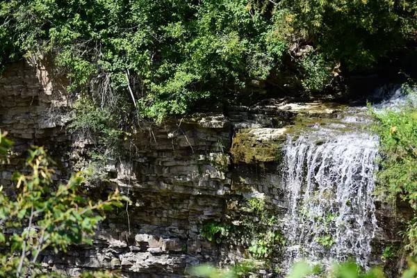 森の中の岩の上に小さな滝が飛び散る — ストック写真
