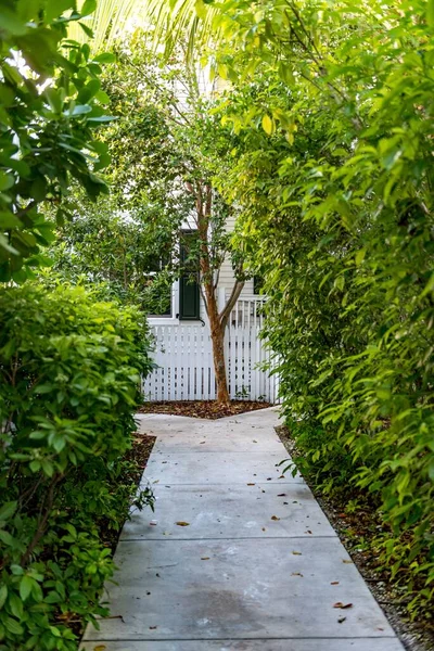 庭の葉の真ん中にコンクリートの歩道の垂直ショット — ストック写真