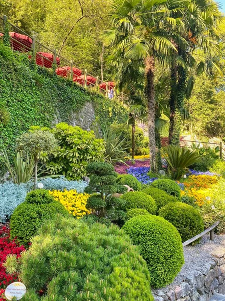 Plano Vertical Hermoso Jardín Día Soleado — Foto de Stock