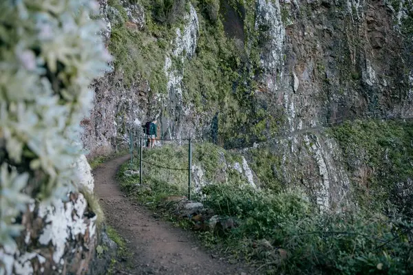 Ein Wunderschönes Terrain Auf Madeira Einem Sonnigen Tag — Stockfoto