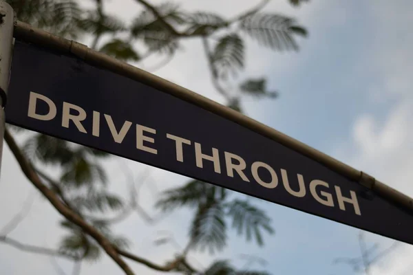 Closeup Shot Drive Sign Tree — Stock Photo, Image