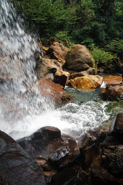 Plan Vertical Une Cascade Dans Une Forêt Tropicale Colombie — Photo