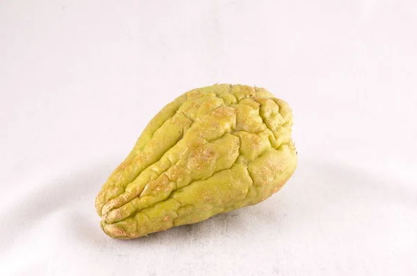 Chayote Sechium Edule Nativo Vegetale Del Sud America — Foto Stock