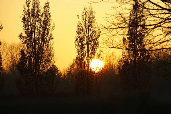 Una Hermosa Puesta Sol Con Cielo Ardiente Colores Cálidos Detrás —  Fotos de Stock