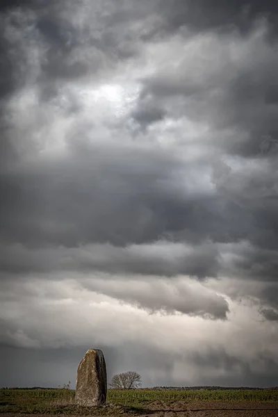 Egyetlen Álló Svéd Vidéken Drámai Felhős Ellen — Stock Fotó
