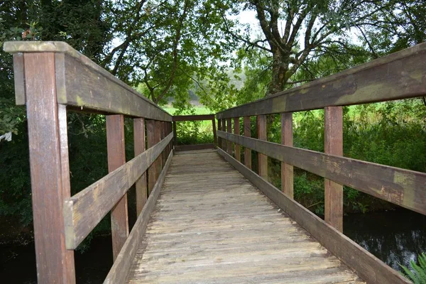Деревянный Мост Через Реку Лесу Зелеными Деревьями — стоковое фото
