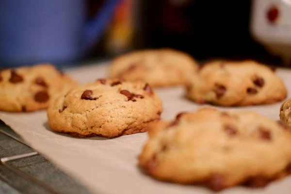 Een Vers Koekje Een Selectieve Focusshot — Stockfoto