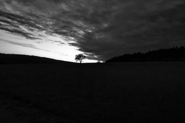 Saarland Dramatik Gökyüzüne Karşı Bir Ağaçla Gün Batımının Gri Tonlu — Stok fotoğraf
