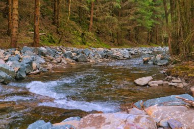 Thüringen Ormanı 'ndan geçen taşlı bir nehir.