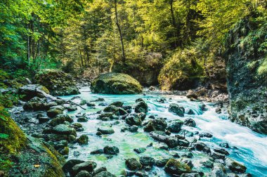 Ormandaki kayaların üzerinden akan çağlayan şelalenin güzel bir görüntüsü.