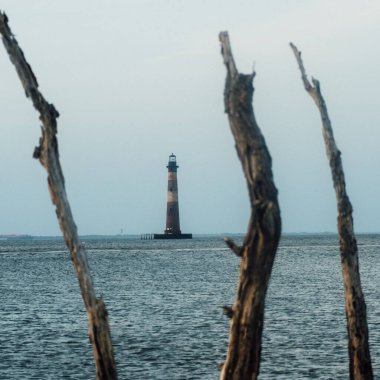 Dallardan uzakta bir deniz feneri.
