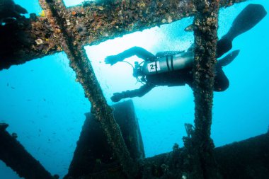 Eski bir yapının üzerinde mavi okyanusta yüzen bir dalgıç.