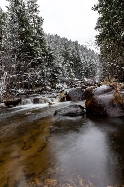Vintersnö Vid Middle Vrain Creek Raymond Colorado — Stockfoto