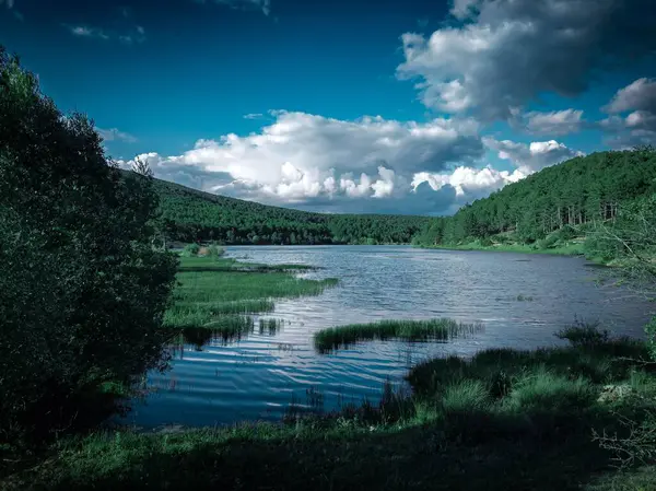 Vue Panoramique Lac Entouré Forêts Verdoyantes Sous Ciel Bleu Nuageux — Photo