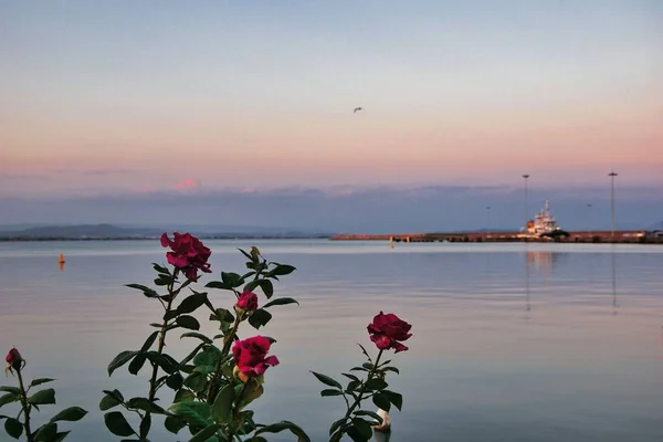 Get Taste Real Greece You Travel Katakolon Port Skip Typical — Stock Photo, Image