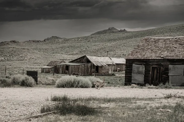 Parque Histórico Estadual Bodie Califórnia Eua — Fotografia de Stock