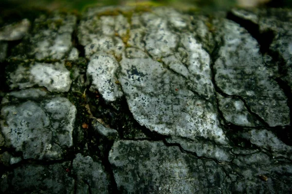 Una Piedra Agrietada Con Luz Enfocada Detalle Adecuado — Foto de Stock