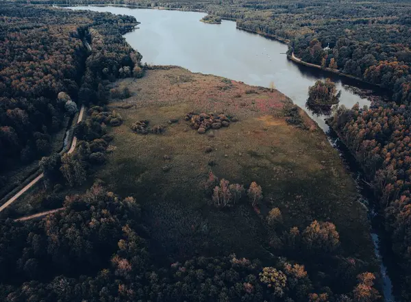 Una Vista Superior Hermoso Lago Que Fluye Bosque Kobior Polonia — Foto de Stock