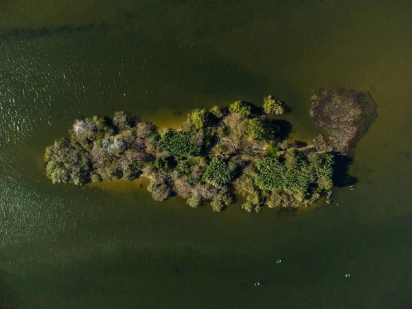 Вид Воздуха Маленький Остров Растущими Деревьями Окружении Зеленой Воды — стоковое фото