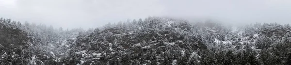 Rocky Mountains Время Зимы Около Раймонда Колорадо — стоковое фото