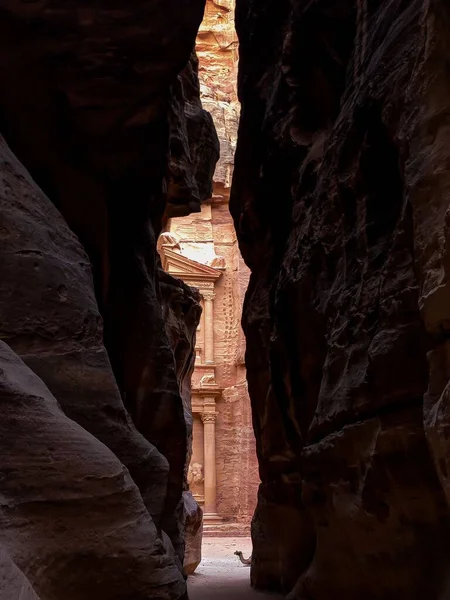 到达Petra的垂直镜头 骑着骆驼 — 图库照片