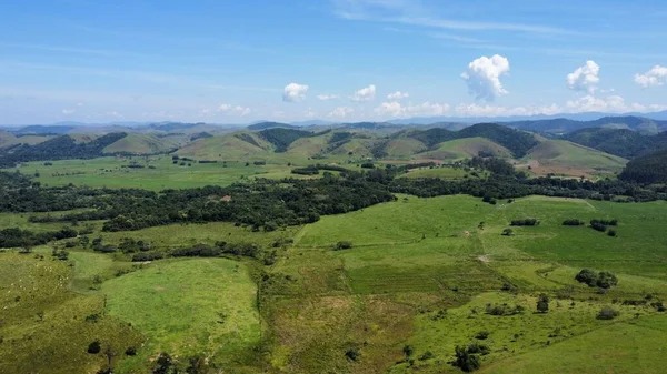 Una Toma Aérea Campo Con Pequeño Bosque Brasil — Foto de Stock