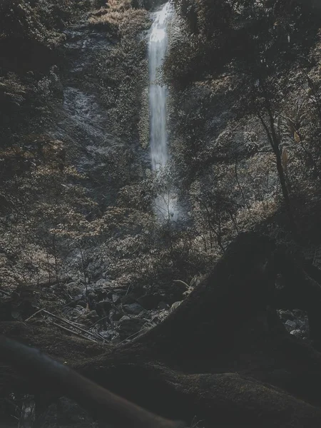 Une Nature Sombre Chaude Avec Des Cascades Dans Forêt — Photo