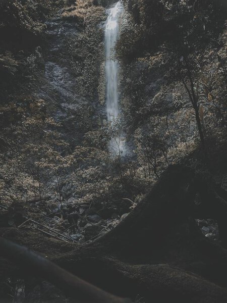 A dark and warm moody nature with waterfalls in the forest