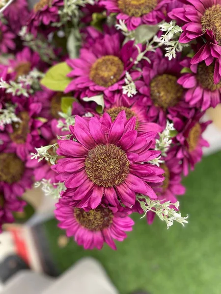 Vertical Shot Bouquet Purple Coneflowers — Stock Photo, Image