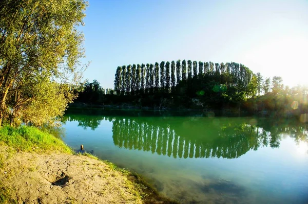 Wild Brenta River North Italy Summer 2014 — Stock Photo, Image