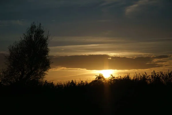 Eine Silhouettenaufnahme Eines Waldes Mit Der Abendsonne Himmel Großartig Für — Stockfoto