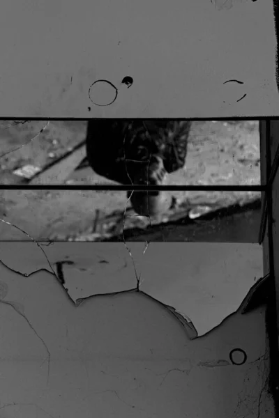 Egy Régi Törött Szemüveg Szobában — Stock Fotó