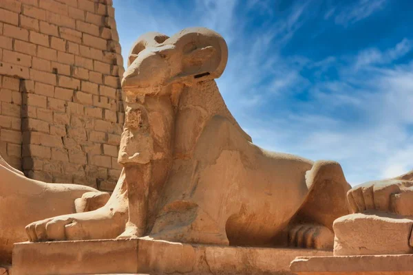 Zauber Der Ägyptischen Pharaonen — Stockfoto