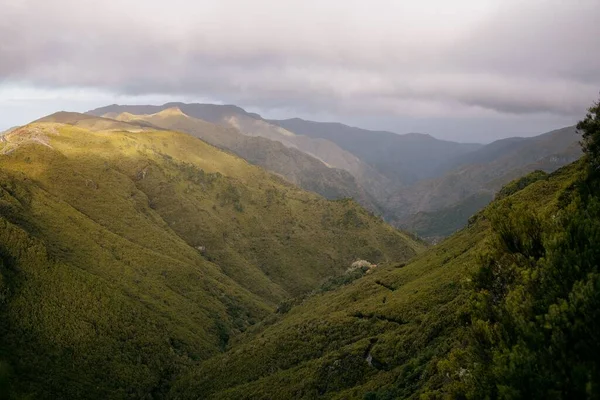 Portekiz Madeira Sisli Bir Gökyüzünün Altındaki Kırsal Tepelerin Hava Manzarası — Stok fotoğraf