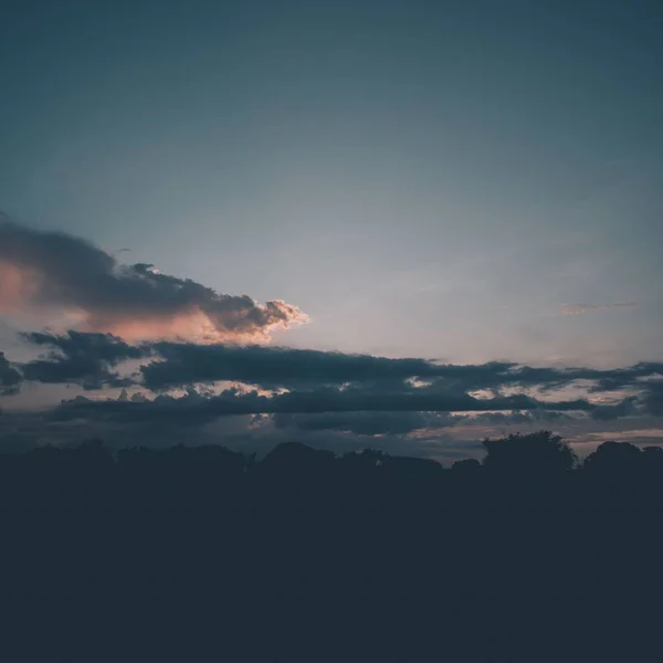 Ein Silhouettenblick Auf Die Bäume Gegen Den Abendhimmel — Stockfoto