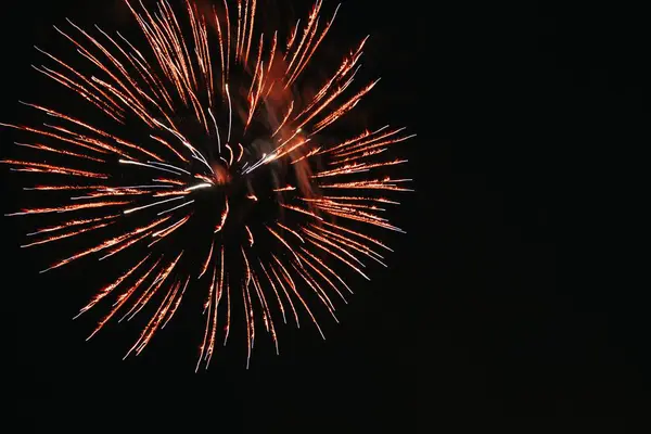 Fogo Artifício Colorido Noite — Fotografia de Stock