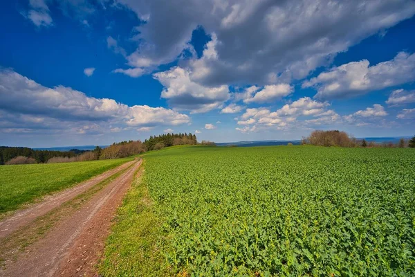 春の青空の下 緑の野に佇むレンスティグの道の絶景 — ストック写真