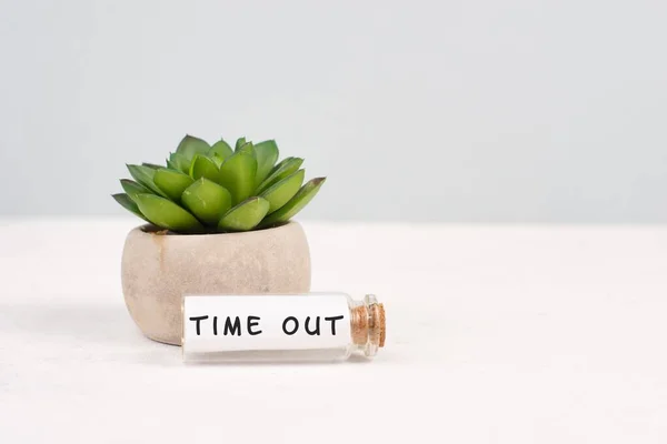 Cactus Una Olla Sobre Fondo Gris Botella Vidrio Con Frase —  Fotos de Stock