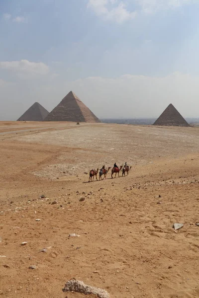 Tiro Vertical Pessoas Camelos Deserto Fundo Das Pirâmides — Fotografia de Stock