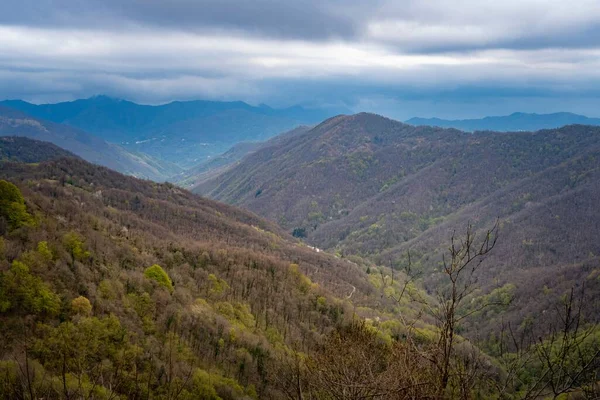 木々やスカイラインのある山の空中ショット — ストック写真