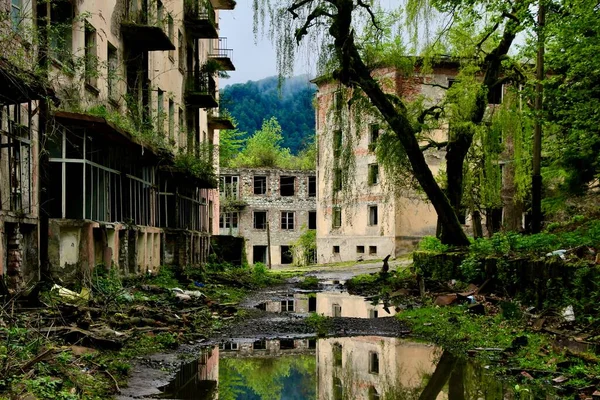 Stor Pöl Bredvid Gamla Byggnaderna Staden Med Riklig Vegetation Runt — Stockfoto