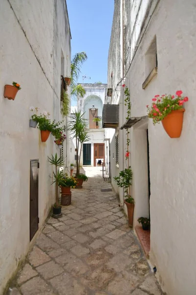 Street Historic Center Specchia Medieval Town Puglia Region Italy — ストック写真