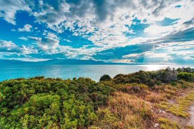 Mavi bulutlu gökyüzünün altındaki tarladan güzel bir göl manzarası