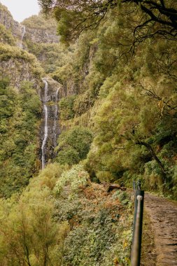 Portekiz, Madeira 'daki Risco Şelalesinin güzel bir manzarası