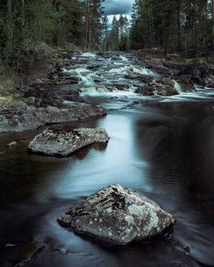 Kasvetli bir günde yeşil bir ormanın içinden akan bir nehrin dikey görüntüsü.