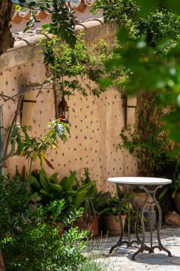 Bitkilerle dolu eski bir evin dikey görüntüsü.